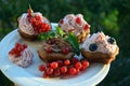 Chocolate cupcakes with cream and berries Royalty Free Stock Photo