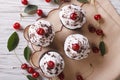 Chocolate cupcakes with cream and cherry closeup horizontal top