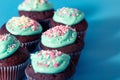 Chocolate cupcakes decorated with icing sugar and sprinkles at home. Festive sweet food close-up on a blue background Royalty Free Stock Photo