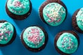 Chocolate cupcakes decorated with icing sugar and sprinkles at home. Festive sweet food close-up on a blue background. Top view Royalty Free Stock Photo