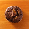 Chocolate Cupcakes, Double Chocolate Chip Muffin on wood background Royalty Free Stock Photo