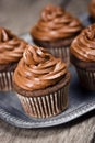 Chocolate Cupcakes with Frosting Royalty Free Stock Photo