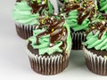 Chocolate cupcakes with green mint frosting and chocolate drizzle with sprinkles for St. PatrickÃ¢â¬â¢s Day on a white background! Royalty Free Stock Photo