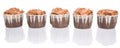 Chocolate Cupcakes III Royalty Free Stock Photo