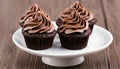 Chocolate cupcakes