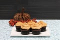 Chocolate cupcakes with peanut butter frosting in a fall setting Royalty Free Stock Photo