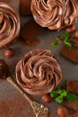 Chocolate cupcakes with peanut paste Royalty Free Stock Photo