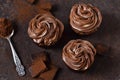 Chocolate cupcakes with peanut paste Royalty Free Stock Photo