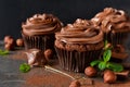 Chocolate cupcakes with peanut paste Royalty Free Stock Photo