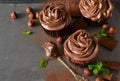 Chocolate cupcakes with peanut paste Royalty Free Stock Photo