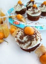 Chocolate cupcakes with physalis Royalty Free Stock Photo