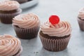Chocolate cupcakes with strawberry buttercream, selective focus. Copy space