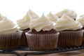 Chocolate cupcakes with vanilla frosting on a white background