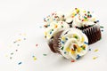 Chocolate Cupcakes with White Frosting Royalty Free Stock Photo