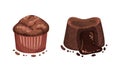 Chocolate Dessert as Sweet Afters and Yummy Treat Vector Set