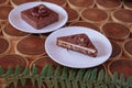 chocolate dessert with filling of caramel, nuts and nougats. The cake is covered with chocolate on a wooded background Royalty Free Stock Photo