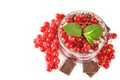 Chocolate dessert with red currant