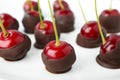 Chocolate dipped cherries on white background, Royalty Free Stock Photo