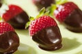 Chocolate dipped strawberries