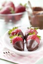 Chocolate dipped strawberries