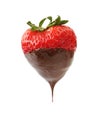 Chocolate Dipped Strawberry