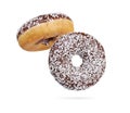 Chocolate donut with coconut sprinkles. Isolated