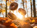 chocolate donuts and autumn leaves