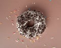 Doughnuts, Chocolate Brown and Pink Donut with Multicolored Sprinkles