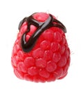 Chocolate drop on red berry raspberry Royalty Free Stock Photo