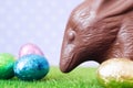 Chocolate Easter bilby Royalty Free Stock Photo