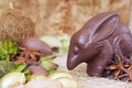 Chocolate Easter bilby Royalty Free Stock Photo