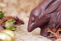 Chocolate Easter bilby Royalty Free Stock Photo