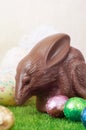 Chocolate Easter bilby Royalty Free Stock Photo