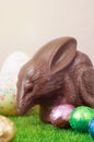 Chocolate Easter bilby Royalty Free Stock Photo