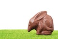 Chocolate Easter bilby Royalty Free Stock Photo