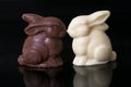 Chocolate easter bunnies