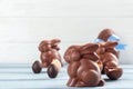 Chocolate Easter bunnies Royalty Free Stock Photo