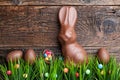 Chocolate Easter bunny and eggs on wooden background Royalty Free Stock Photo