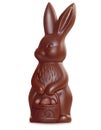 Chocolate easter bunny on white.