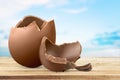 Chocolate easter egg on backgrouund Royalty Free Stock Photo