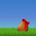 Chocolate easter egg on the lawn Royalty Free Stock Photo