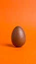 Chocolate Easter Egg on Orange Background Studio Shot Royalty Free Stock Photo