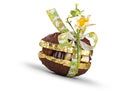 Chocolate Easter Egg and praline Royalty Free Stock Photo