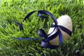 Chocolate Easter egg with ribbon bow in the grass Royalty Free Stock Photo