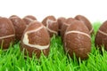 Chocolate easter eggs in grass