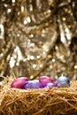 Chocolate Easter eggs in a natural straw nest