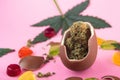 Chocolate egg with dry buds of medical marijuana inside. Surrounded by cannabis leaves, gummies and chocolate chips