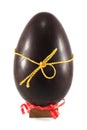 Chocolate egg kinder surprise Royalty Free Stock Photo
