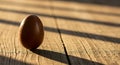Chocolate Egg Standing on Wooden Surface with Sunlight and Shadow Royalty Free Stock Photo