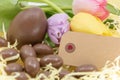 Chocolate egg text box and pastel tulips for graphic resource on the theme of Easter